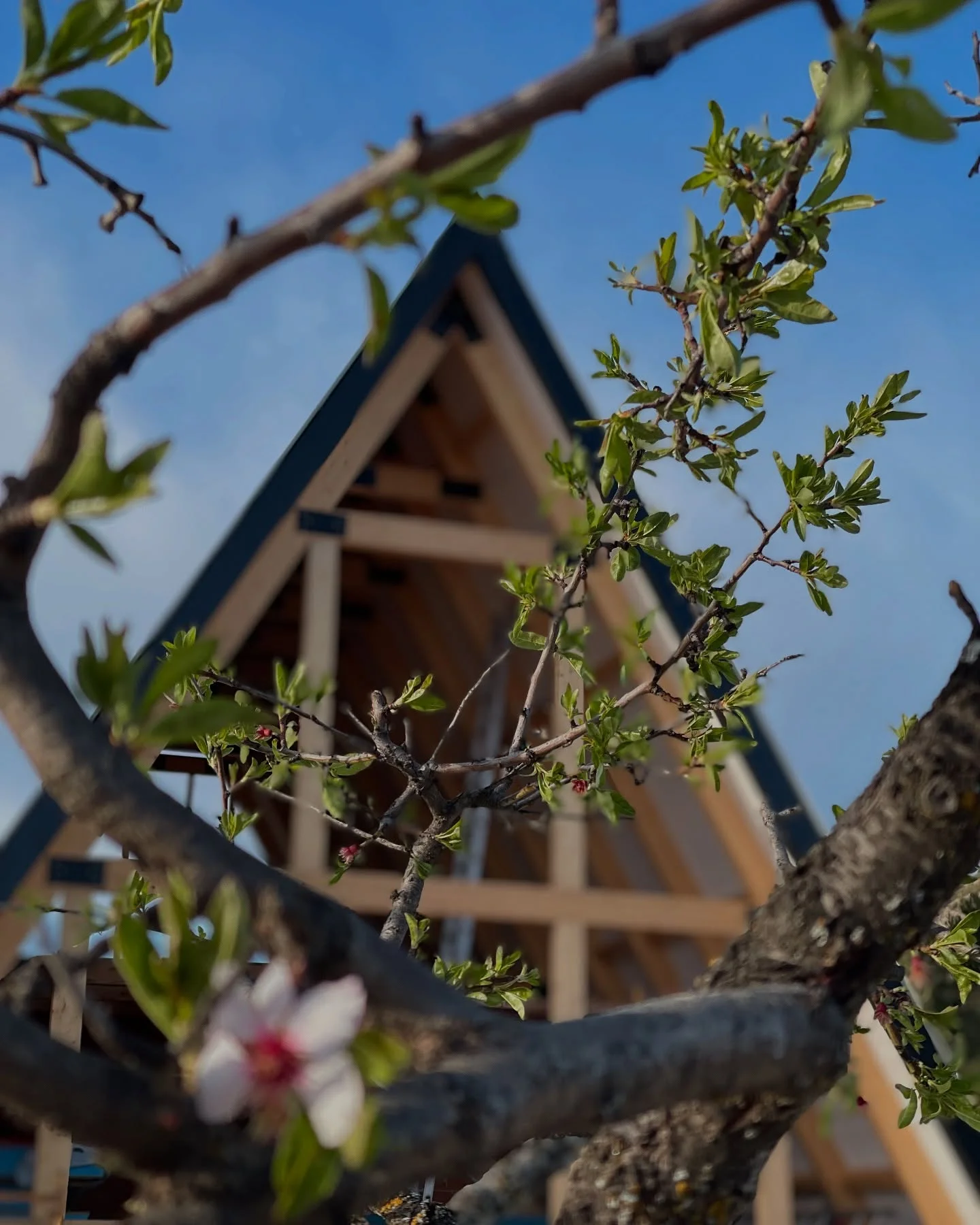 Casa Rural Castilla La Mancha