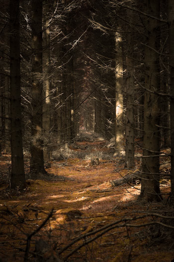 Contacto Casa Rural Castilla La Mancha