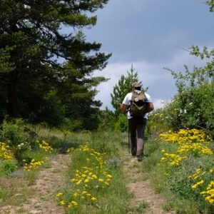 Servicios Casa Rural Castilla La Mancha