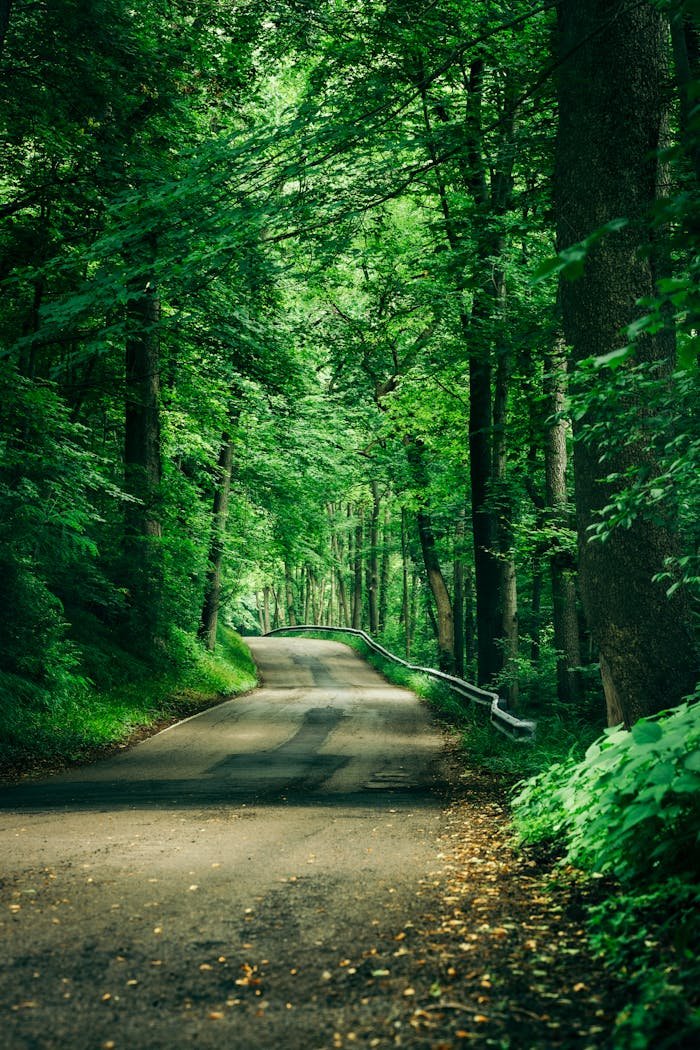 Servicios Casa Rural Castilla La Mancha